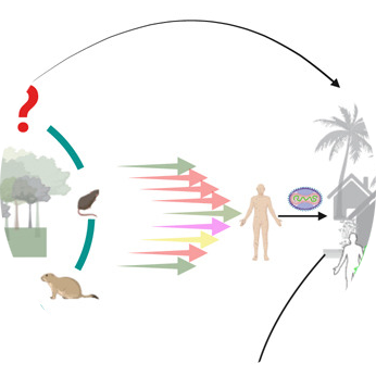 Webconférence: Le virus Mpox provoque une flambée des épidémies parmi la population mondiale : la riposte s’organise.